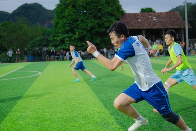 蓝鲸体育直播在线观看-高清免费赛事直播平台-蓝鲸直播